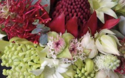 Australian natives used in wedding flowers
